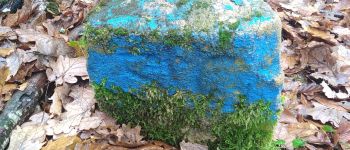 Punto di interesse Vergigny - Borne ZC - Bleue la plus loin par rapport à la route D203 - Photo