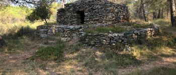 Point d'intérêt Conques-sur-Orbiel - Capitelle 12 (La dansairo) - Photo