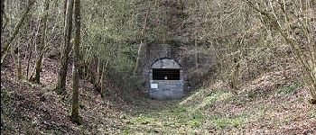 Point d'intérêt Cerfontaine - LES TUNNELS DE SENZEILLES - Photo