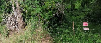 Punto de interés Moult-Chicheboville - 🐸 1#13 - Entre Plaine et Marais à Chicheboville🌿 - Photo