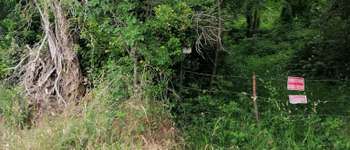 Punto de interés Moult-Chicheboville - 🐸 1#13 - Entre Plaine et Marais à Chicheboville🌿 - Photo