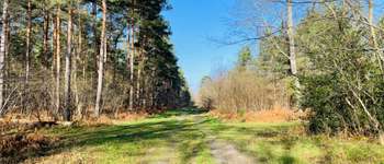 Point d'intérêt Saint-Jean-aux-Bois - Point 34 - Photo