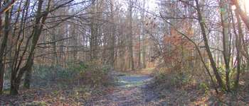 Point d'intérêt Saint-Jean-aux-Bois - Point 20 - Photo