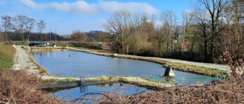 Point d'intérêt Villers-la-Ville - Etang - Photo