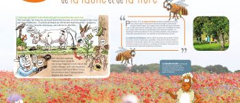 Punto de interés Virton - Préservation de la biodiversité de la faune et de la flore - Photo
