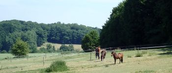 Punto de interés Grez-Doiceau - Vue nord vers prairies à chevaux - Photo