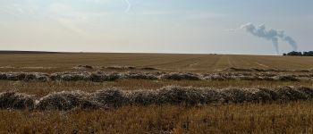 Punto di interesse Braives - Bataille de Tourinne (21 juillet 1347) - Photo