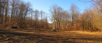 Point d'intérêt Saint-Jean-aux-Bois - Point 31 - Photo