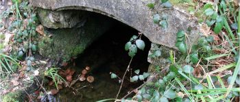 Punto de interés Fleurines - Fontaine des Lys - Photo