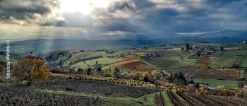 Punto di interesse Val d'Oingt - Panorama 180° vignes et coteaux - Photo