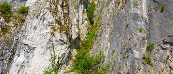 Punto di interesse Houyet - Unnamed POI - Photo