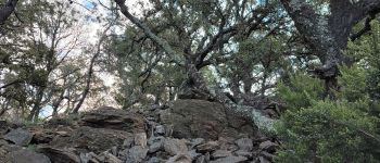 Point d'intérêt Roquebrune-sur-Argens - Oppidum - Photo