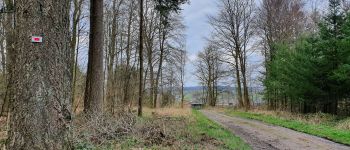 Point of interest Bouillon - Voie Romaine - Photo