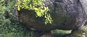 POI Rouffignac-Saint-Cernin-de-Reilhac - Dolmen Dou Cayre - Photo