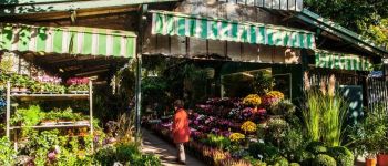 Punto di interesse Parigi - Marché aux fleurs Reine Elisabeth II  - Photo