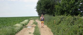 POI Gembloers - Vues dans le chemin traversant la Campagne des 7 Fontaines - Photo