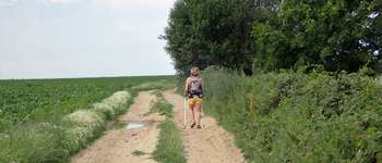 Punto de interés Gembloux - Vues dans le chemin traversant la Campagne des 7 Fontaines - Photo
