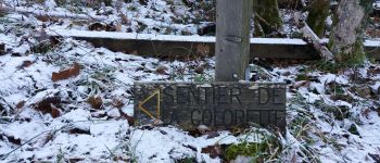 Point of interest Moye - SENTIER DE LA COLORETTE - Photo