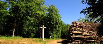 Point d'intérêt Trosly-Breuil - Point 19 - Photo