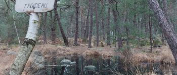 Point d'intérêt Fontainebleau - Mare Froideau  - Photo