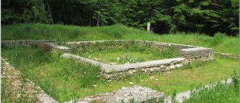 Point d'intérêt Villers-Saint-Frambourg-Ognon - ruines gallo-romaines Ognon - Photo