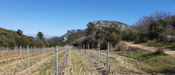 Point of interest Trets - Vue sur le mont Olympe - Photo