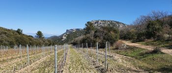 Punto di interesse Trets - Vue sur le mont Olympe - Photo