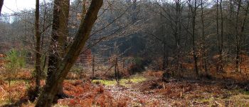 Punto de interés Vieux-Moulin - Point 16 - Photo