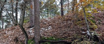 Punto di interesse Fontainebleau - Unnamed POI - Photo