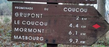 Point d'intérêt Nassogne - panneau promenade - Photo