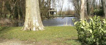 Point d'intérêt Tubize - Cabane dans les arbres (Château de Poederlé) - Photo