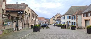 Point d'intérêt Marmoutier - Marmoutier - Photo