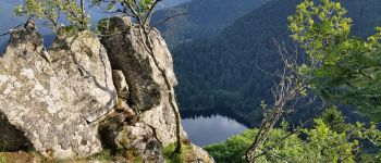 Point d'intérêt Metzeral - Vue sur le lac de Shiessrothried - Photo