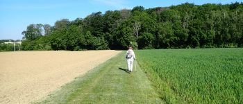 Point d'intérêt Chaumont-Gistoux - Vue nord-ouest vers le Bois de Villers - Photo