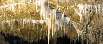 Point d'intérêt Hotton - Grottes de Hotton - Photo