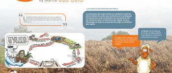 Punto de interés Vielsalm - Entretien de la qualité et de la santé des sols - Photo