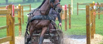 Point of interest Bertrix - Ecurie de la plaine - Photo