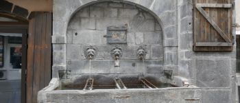 Point d'intérêt Clermont-Ferrand - fontaine des lions - Photo