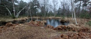 POI Fontainebleau - Unnamed POI - Photo