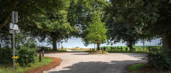 Point d'intérêt Court-Saint-Étienne - Arbre de la Justice - Photo