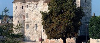 Point d'intérêt Nemours - Château-Musée de Nemours - Photo