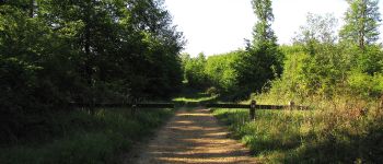 Point d'intérêt Trosly-Breuil - Point 1 - Photo