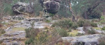 Point d'intérêt Fontainebleau - Sphinx des Druides  - Photo