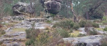 Point of interest Fontainebleau - Unnamed POI - Photo