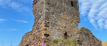 Point d'intérêt  - Seafield Tower - Photo