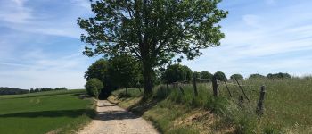 Point d'intérêt Beauvechain - Vue est vers Ruelle de Tirlemont - Photo