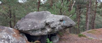 Point d'intérêt Fontainebleau - V - Photo