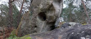 Point d'intérêt Fontainebleau - 34F - Photo