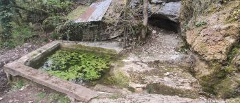 POI Daix - Fontaine-des-Pisseux - Photo