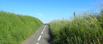 Point d'intérêt Chaumont-Gistoux - Vue piste cyclable avec ligne de séparation centrale - Photo